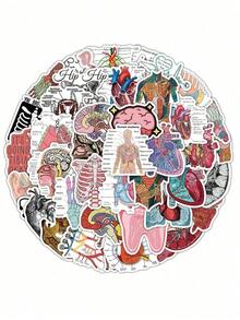 50pcs Anatomy Stickers, Waterproof Vinyl Stickers Of Anatomical Designs, Suitable For Students, Teachers, Water Bottles, Laptops, Scrapbooks - Human Anatomy Decals Back To School - 多色 - 查看 6