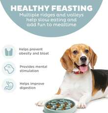 Outward Hound Medium Slow Feeder Bowl, Puzzle Maze For Fast Eaters, Small To Medium Dogs, Helps Prevent Bloat &Amp; Aid Digestion, Holds 2 Cups Wet Or Dry Food, Non-Slip, Made Without BPA, Sage - ColorA - 查看 2