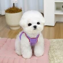 Cute Embroidered Dog Vests For Small Dogs, Red Ribbon Puppies Sleeveless Pet Camisole, Lightweight Summer Pet Dog Clothes, Breathable Pet Clothing - Beige - View 7