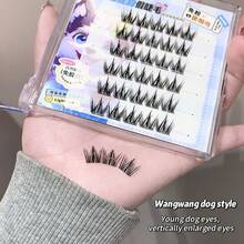2026 New Gege Bear Segmented False Eyelashes, Beginner-Friendly, Natural Look, Ideal Valentine's Day Gift, Easy To Wear Daily Eye Makeup - View 12