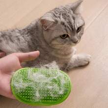 1pc Pet Static Electricity Hair Removal Glove, Double-Sided Brush Hair Remover, Cleaning Tool, Cat Hair Removal Grooming Brush - A - View 12