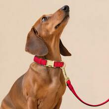 Bộ vòng cổ và dây dắt chó bằng nylon nhẹ, thanh lịch, có thể điều chỉnh cho chó cỡ trung bình đến lớn, vòng cổ chó chất lượng cao. - Nhiều màu - Xem 10