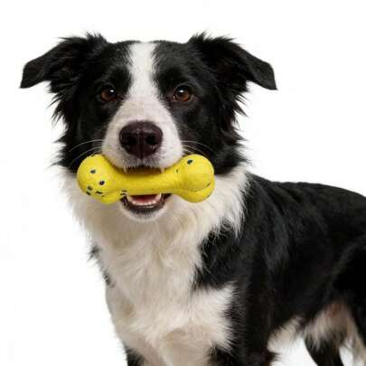 Durable Chew Bone Toy For Small & Medium Dogs, Suitable For Chewing Dogs To Relieve Gum Discomfort And Anxiety, Pet Toy