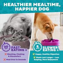 Outward Hound Fun Feeder Slo Bowl U2013 Medium 2u2011Cup Capacity,Slow Feeding,Small To Medium Dogs &Amp; Cats,Non-Slip,Purple,Flower Pattern,(Pack Of 12) - ColorF - 查看 8