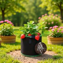 无纺布种植袋、树木种植袋、生长袋、育苗盆、带提手布艺种植袋 - 透气无纺布种植容器，适用于番茄、土豆、蔬菜、草莓 | 室内外均可使用 | 轻便，带植物支撑架 | 多种尺寸可选 - 黑色 - 查看 8