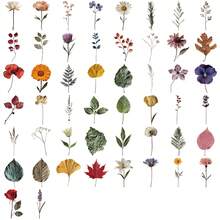 50 Pieces Of Retro Plant Specimens Creative Graffiti PET Stickers DIY Hand Book Mobile Phone Case Computer Waterproof Gift - View 6