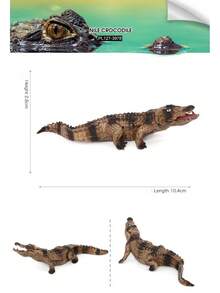 1pc Realistic Animal Crocodile Model - Siamese Crocodile, Short-Snouted Crocodile, Saltwater Crocodile, Cuban Crocodile - Educational Display - Multicolor - View 7