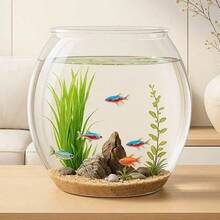 1pc Thick Transparent Tabletop Turtle Tank, Goldfish Bowl, Hydroponics Living Room Shockproof Aquarium, Round Plastic Small Fish Tank Suitable For Living Room, One-Piece Turtle Tank, Tabletop Goldfish Bowl, Harmless, Shockproof And Unbreakable Fish Tank. - Clear - View 3