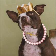 新款奢华宠物项圈，猫狗项链，高端时尚材质，节日礼物，可调节，适合日常佩戴 - 彩色 - 查看 3