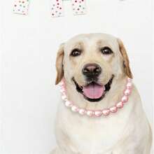 新款奢华宠物项圈，猫狗项链，高端时尚材质，节日礼物，可调节，适合日常佩戴 - 彩色 - 查看 5