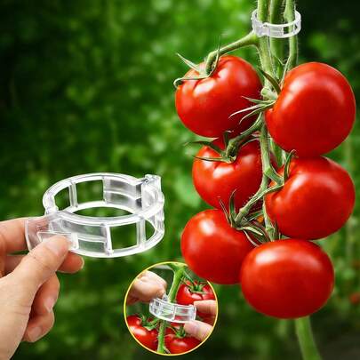 100/200pcs Plastic Vine Plant Support Clips, Suitable For Tomatoes And Other Climbing Plants, Reusable Clips Allow Tomato Vines And Vegetable Plants To Grow Upright For Healthier Plants