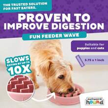 Outward Hound Fun Feeder Slo Bowl U2013 Small 3/4-Cup Capacity,Slow Feeding,Small Dogs,Puppies &Amp; Cats,Non-Slip,Pink,Wave Pattern,(Pack Of 12) - Màu E - Xem 2