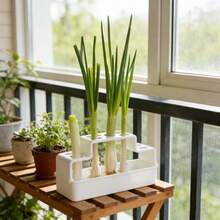 1pc Modern Hydroponic Planter System - Reusable Plastic Planter With Tray, Suitable For Scallions, Herbs, Microgreens - Compact Windowsill Vegetable Planter For Home Chefs, Balcony, Urban Gardening - Multicolor - View 6