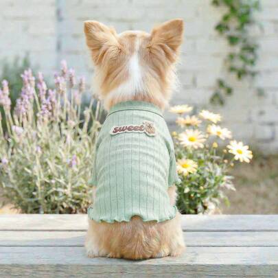 1件宠物服装，适合小型犬和幼犬的室内外服装，欧美韩风休闲可爱舒适荷叶边毛衣 - 绿色