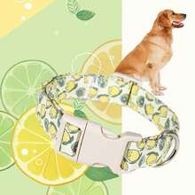 Nuevo collar de perro de primavera con estampado de limón de dibujos animados, de poliéster ajustable, adecuado para todas las razas de perros - color mezclado - Ver 2