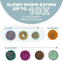 Outward Hound Medium Slow Feeder Bowl, Puzzle Maze For Fast Eaters, Small To Medium Dogs, Helps Prevent Bloat &Amp; Aid Digestion, Holds 2 Cups Wet Or Dry Food, Non-Slip, Made Without BPA, Sage - ColorA - 查看 4