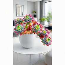 Seed100 Succulent Blue Apple Plant - 100 hạt giống - Xem 5