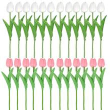 12 bông hoa tulip nhân tạo màu trắng/hồng, thích hợp làm quà tặng Ngày của Mẹ, trang trí bàn làm việc, đám cưới, tiệc tùng, bó hoa tự làm, trang trí nhà cửa, hoa nhựa, đồ trang trí, vòng hoa, bó hoa cưới, trang trí tựu trường, đồ dùng học tập, cây nhân tạo, hoa giả - Nhiều màu - Xem 11