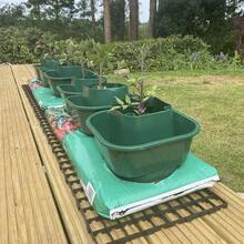 Tomato And Vegetable Growbag Pots For Improved Watering - Pack Of 6 - 1 - View 2