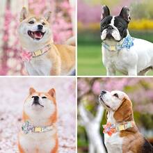 Nylon Flower Print Dog Collar, Suitable For Small, Medium And Large Dogs - Multicolor - View 6