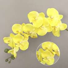 1支/10支装27英寸仿真蝴蝶兰花茎，质感逼真，适用于家居、办公室、婚礼装饰，也适合宿舍、情人节、母亲节礼物、人造植物、办公室、派对、节日、生日等多种场合，可用于家居、入口、酒店、餐厅、客厅、卧室、婚礼、厨房、花园等场所，营造装饰风格，是派对和节日装饰的理想之选。 - 黃色 - 查看 3