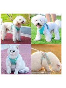 Bộ dây dắt và đai đeo cho mèo (1 món) chống thoát hiểm, phản quang, dành cho mèo, chó nhỏ, thoáng khí, dùng để dắt chó con đi dạo, phụ kiện thú cưng. - Nhiều màu - Xem 7