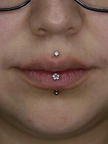 1PC CZ Flower/Bat/Spider /Bee Moon&Star Rook Earring,16G Implant Grade Titanium Internal Thread Eyebrow Labret Lip Belly Button Ring Curved Barbell Clear Zirconia Floral Cartilage Daith Conch Earring - Titanium Color - View 4