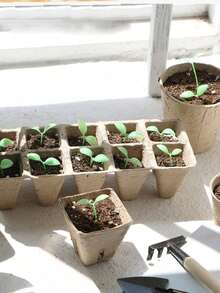 纸浆育苗杯和育苗盘，一次性圆形/方形纸浆杯，适用于多肉植物、扦插苗、兰花和其他植物 - A - 查看 6