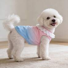 1pc Pet Apparel Cute Rainbow Gradient Vest - Multicolor - View 1