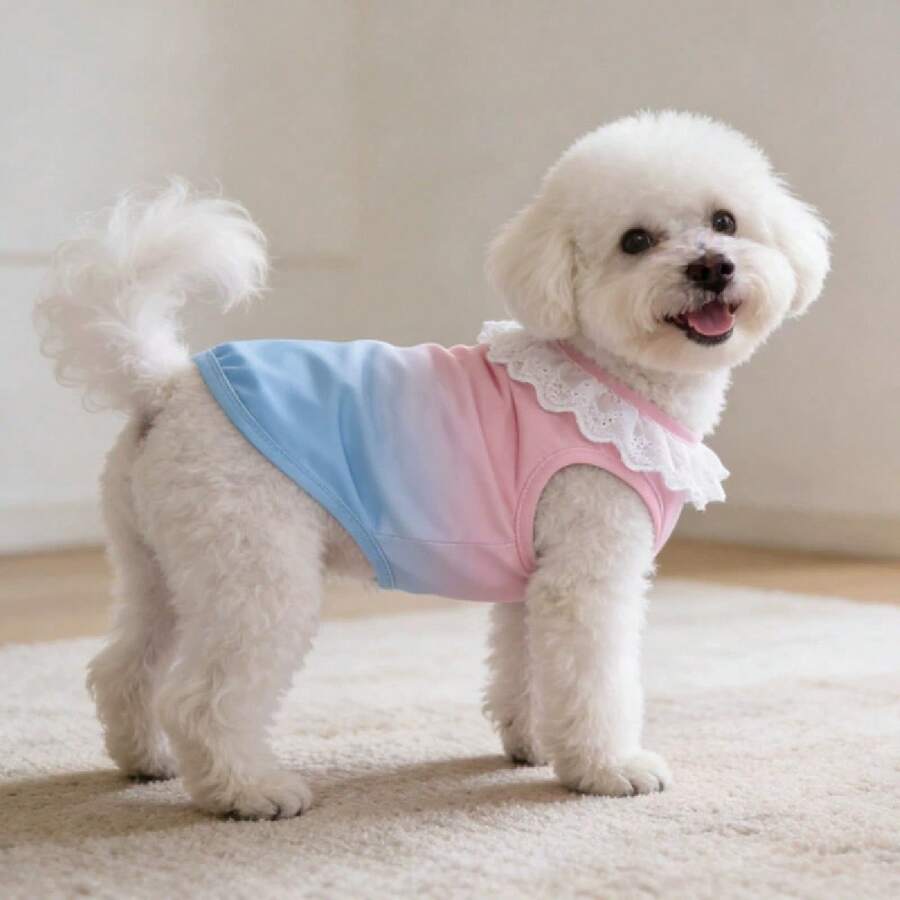 1pc Pet Apparel Cute Rainbow Gradient Vest - Multicolor - View 1