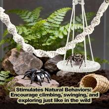 1 pieza Puente magnético de araña saltarina, mini casa, hamaca pequeña para mascotas, diseño magnético flexible, estructura de red de cuerda que satisface el instinto de trepar, forma compacta adecuada para el entorno de cría, aplicable para arañas saltarinas, cangrejos y otras mascotas pequeñas - Ver 6