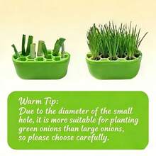 1pc Scallion Regrowth Kit - No Skills Needed, Easy Home Scallion Planting | Suitable For Balcony, Windowsill & Small Spaces Compact System | Fast Scallion Regrowth | Continuous Harvest - Flowerpot - View 8