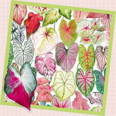 50pcs Colorful Taro Leaf Stickers, Cartoon Cute Graffiti PET Transparent Stickers, Suitable For Water Bottles, Laptops, Phones, Skateboards, Guitars, Luggage, Scrapbooks, Helmets, Party Decorations And Gifts