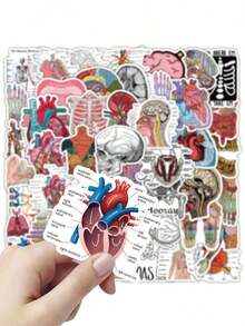 50pcs Anatomy Stickers, Waterproof Vinyl Stickers Of Anatomical Designs, Suitable For Students, Teachers, Water Bottles, Laptops, Scrapbooks - Human Anatomy Decals Back To School - 多色 - 查看 1