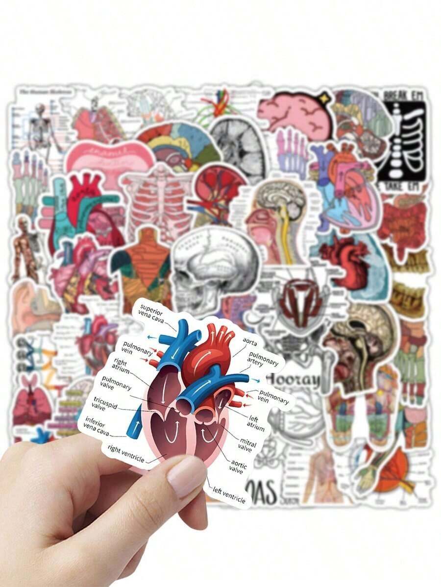 50pcs Anatomy Stickers, Waterproof Vinyl Stickers Of Anatomical Designs, Suitable For Students, Teachers, Water Bottles, Laptops, Scrapbooks - Human Anatomy Decals Back To School - 多色 - 查看 1