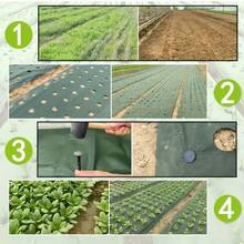 1.77oz Tela de barrera de jardín perforada de alta calidad - Verde y negro de doble capa, adecuada para camas de fresas y camas de plantación, control transpirable para el patio, huerta, huerto, jardín - Perforar agujeros verdes y negros - Ver 9