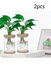 2个迷你水培花盆，透明玻璃质感花瓶，无土栽培盆，家居装饰 - 彩色 - 查看 10