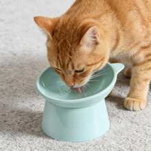 卡通猫造型多色塑料猫碗，猫咪和小型犬宠物碗 - 适用于干/湿粮和水 - 易于清洁，可盛放干粮、零食和罐装湿粮，也可作为骨头残渣和坚果壳的收纳碗，宠物餐盘，情人节礼物，高脚宠物碗，宠物用品（蓝色、绿色、粉色） - 多色 - 查看 5