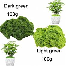 100g mușchi verde artificial, mușchi de plante simulate, potrivit pentru plante în ghiveci de interior, artizanat, bonsai artificial, decor floral DIY, decorare grădină și masă - Multicolor - Vizualizare 3