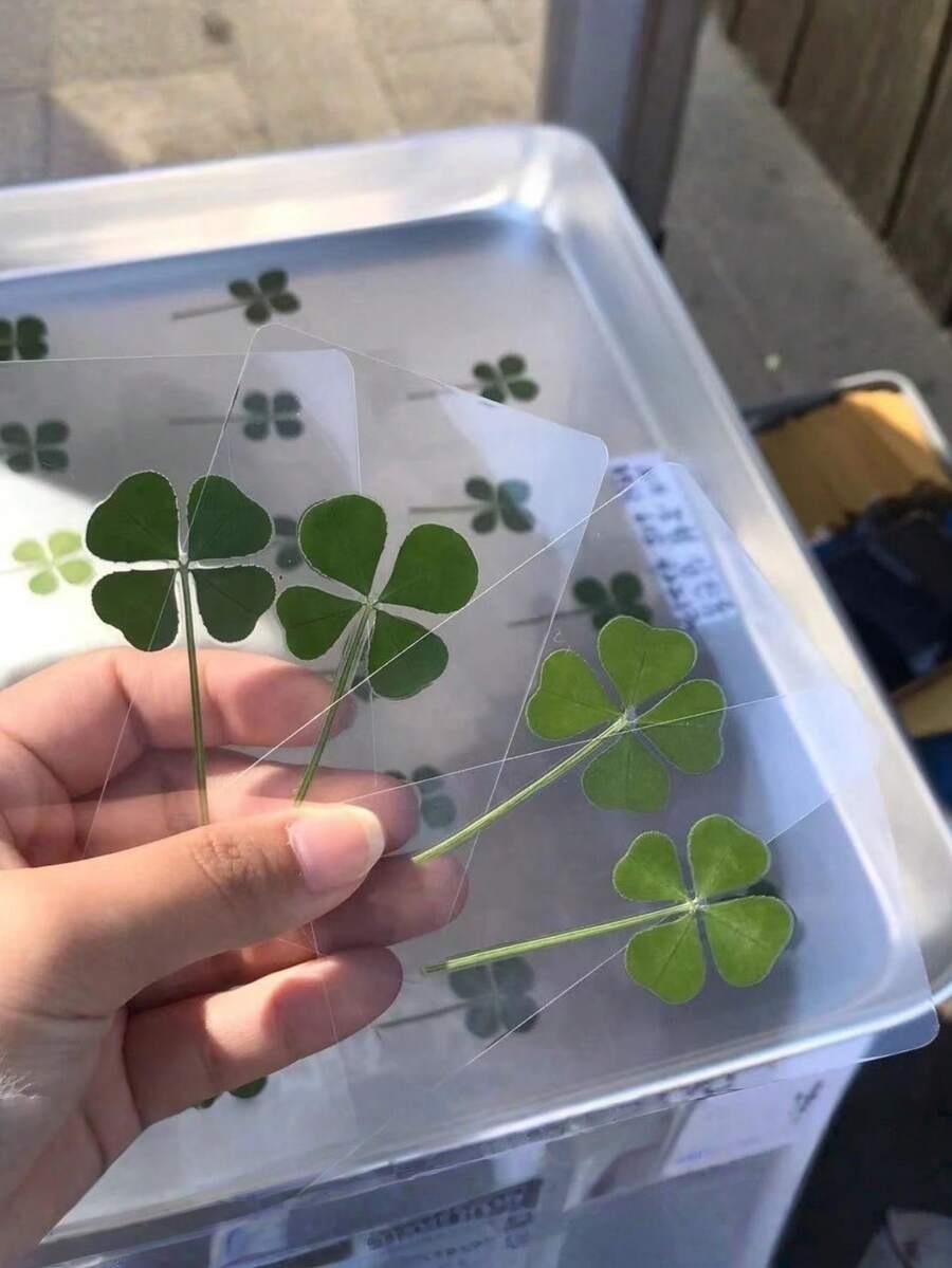 5/10/20 chiếc Trang trí bàn làm việc hình cỏ ba lá tươi mới, Thẻ chúc may mắn trong suốt bằng chất liệu acrylic tối giản, Thẻ cỏ ba lá may mắn trong suốt, Thẻ acrylic, Thẻ đánh dấu trang may mắn tối giản tươi mới, Quà tặng chữa lành - A - Xem 1