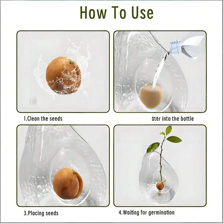 1pc Avocado Shaped Glass Hydroponics Vase, Creative Avocado Seed Cultivation Vase, Suitable For Home And Office Desktop Decor - Avocado - View 10