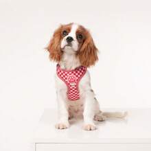 Red Plaid Dog Harness & Leash Set, Adorable Paw Print Decor Pet Vest With Matching Leash, Soft & Breathable Suitable For Small To Medium Dogs Walking Supplies - Red - View 5