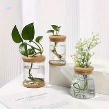 Clear Hydroponic Plant Vase 3pcs Clear Hydroponic Plant - Multicolor - View 4