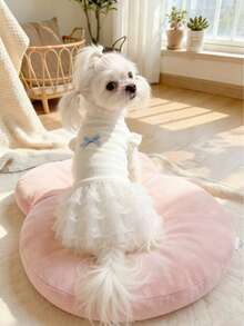 狗狗猫咪公主裙，天鹅绒面料，透气舒适，适合贵宾犬、马尔济斯犬、泰迪熊犬、比熊犬等犬种，四季皆宜。 - 白色 - 查看 15