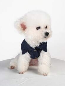 1pc Pet Clothes, Dog/Cat Jacket Coat, Small Dog Outfit, Dirt-Resistant Durable Wear, Spring/Summer New Arrival, All Season - Golden California Jacket - Blue - View 3