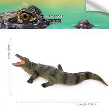 1pc Realistic Animal Crocodile Model - Siamese Crocodile, Short-Snouted Crocodile, Saltwater Crocodile, Cuban Crocodile - Educational Display - Multicolor - View 12