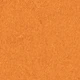 #23 Orange Brown
