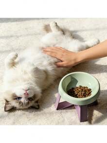 15° Tilted Anti-Vomiting Raised Pet Feeding Bowl, High Stand Cat/Dog Bowl, Protective Neck & Spine Design, Non-Slip Wide Base, Durable Plastic Material, Suitable For Cats & Small Dogs, Wet & Dry Food, Practical Pet Gift - 350ml - View 5