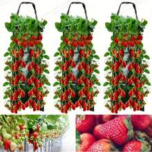 Bolsa de cultivo colgante para fresas con agujeros de plantación, resistente y duradera, maceta colgante vertical para verduras, tomates, patatas - Multicolor - Ver 6