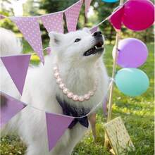 新款奢华宠物项圈，猫狗项链，高端时尚材质，节日礼物，可调节，适合日常佩戴 - 彩色 - 查看 4